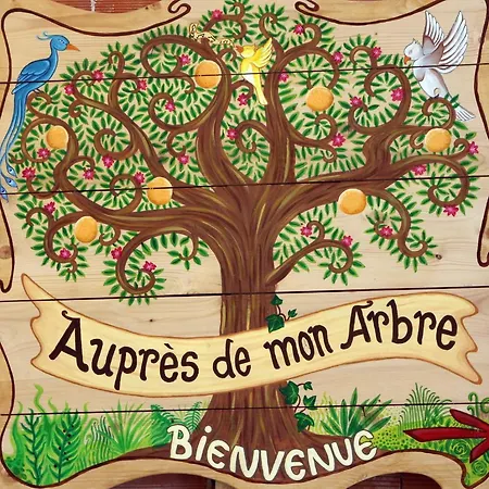 Campsite Aupres De Mon Arbre *