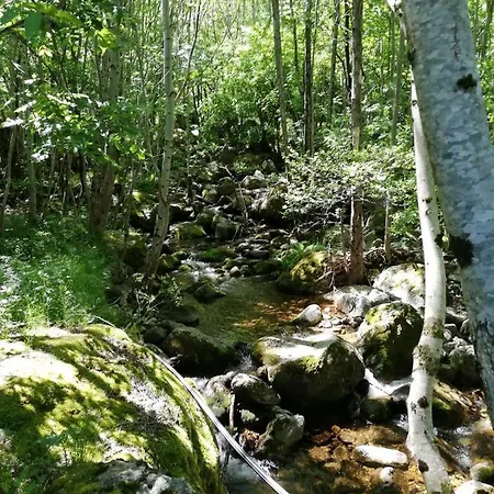 Aupres De Mon Arbre Campsite
