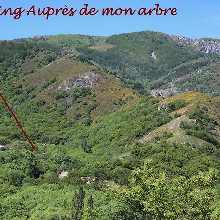 Aupres De Mon Arbre Campsite *
